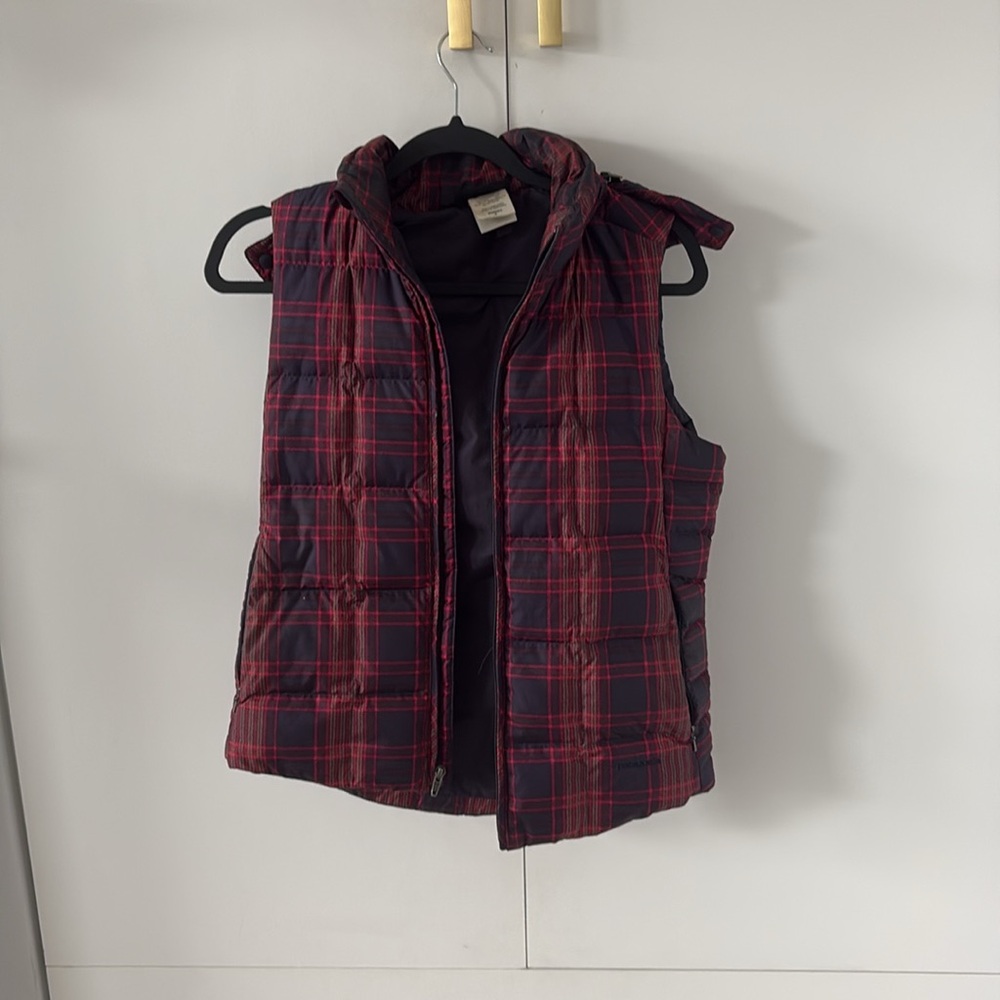Patagonia Down With It vest